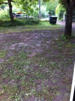 /album/photosl/image-1-jpg1/