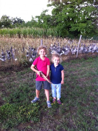 A la chasse à l'oie!